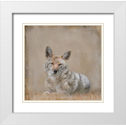 Perfect Pose White Modern Wood Framed Art Print with Double Matting by Parker, Kelley