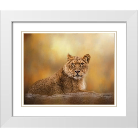 Dawning of the Day White Modern Wood Framed Art Print with Double Matting by Parker, Kelley