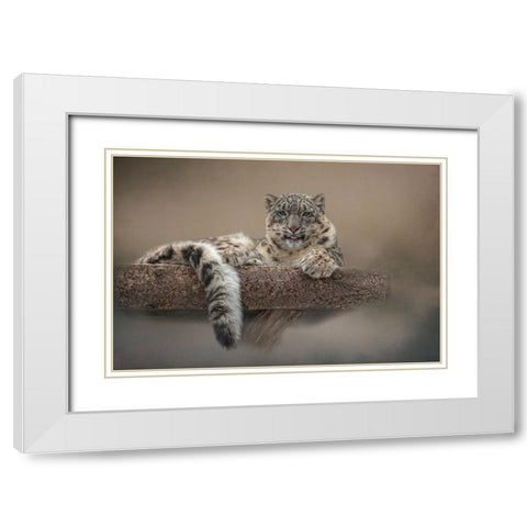 Lounging Around White Modern Wood Framed Art Print with Double Matting by Parker, Kelley