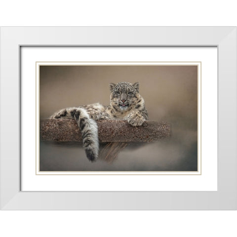 Lounging Around White Modern Wood Framed Art Print with Double Matting by Parker, Kelley
