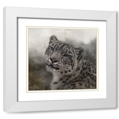 Face of the Wild White Modern Wood Framed Art Print with Double Matting by Parker, Kelley
