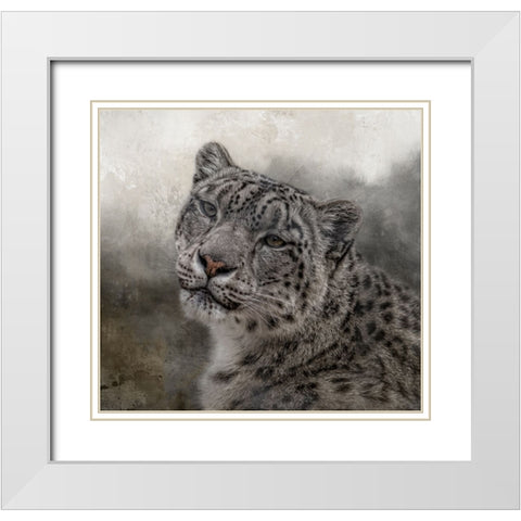 Face of the Wild White Modern Wood Framed Art Print with Double Matting by Parker, Kelley