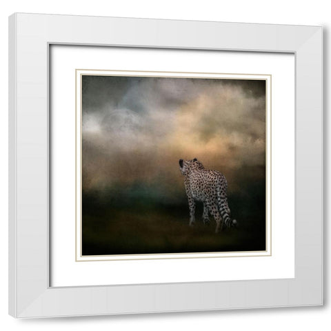Heading Home White Modern Wood Framed Art Print with Double Matting by Parker, Kelley