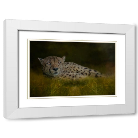 Resting After the Race White Modern Wood Framed Art Print with Double Matting by Parker, Kelley