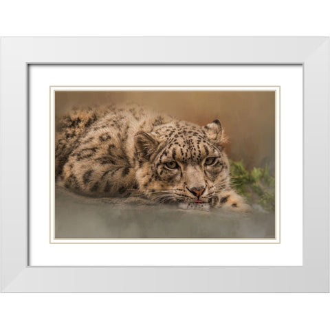 Taking It Easy White Modern Wood Framed Art Print with Double Matting by Parker, Kelley