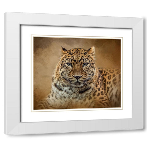 The Stare White Modern Wood Framed Art Print with Double Matting by Parker, Kelley