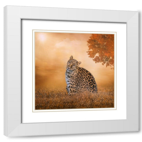 The Sunny Spot White Modern Wood Framed Art Print with Double Matting by Parker, Kelley