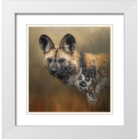 Wild Dog White Modern Wood Framed Art Print with Double Matting by Parker, Kelley