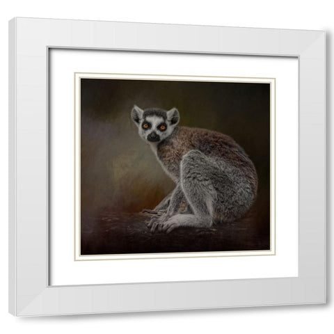 Amber Eyes White Modern Wood Framed Art Print with Double Matting by Parker, Kelley