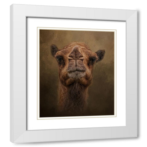 Desert Traveler White Modern Wood Framed Art Print with Double Matting by Parker, Kelley