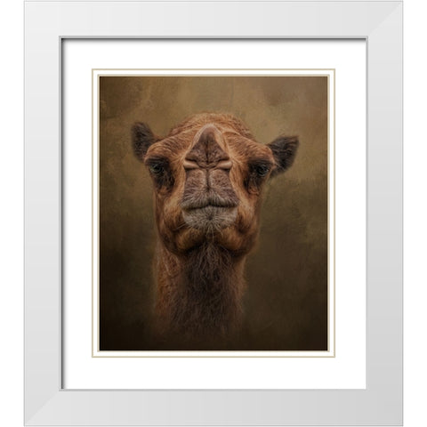 Desert Traveler White Modern Wood Framed Art Print with Double Matting by Parker, Kelley