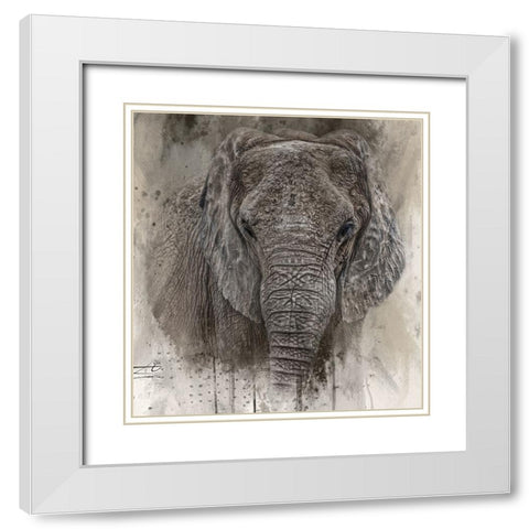 The Ancient One White Modern Wood Framed Art Print with Double Matting by Parker, Kelley