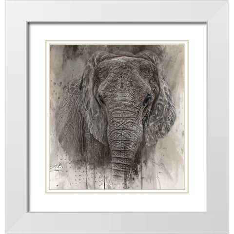 The Ancient One White Modern Wood Framed Art Print with Double Matting by Parker, Kelley