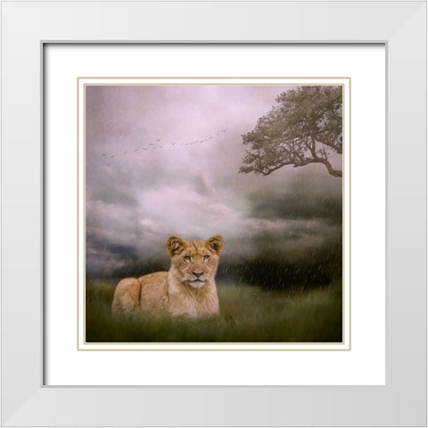 Beginning to Rain White Modern Wood Framed Art Print with Double Matting by Parker, Kelley