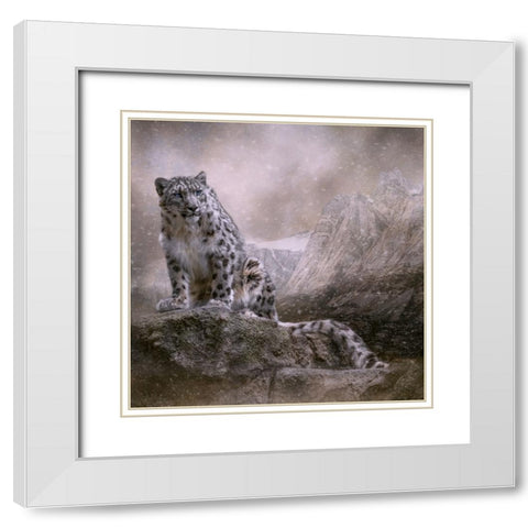 Edge of the Storm White Modern Wood Framed Art Print with Double Matting by Parker, Kelley