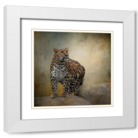 On the Lookout White Modern Wood Framed Art Print with Double Matting by Parker, Kelley
