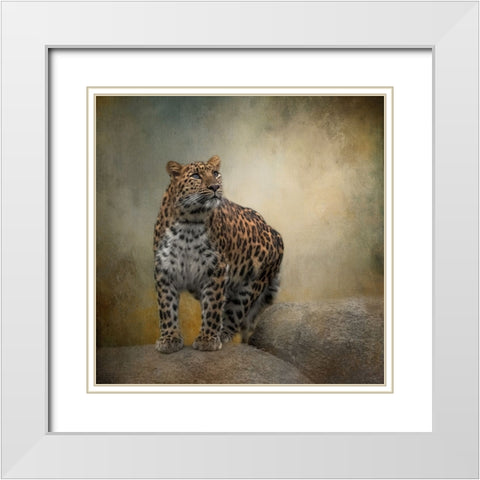On the Lookout White Modern Wood Framed Art Print with Double Matting by Parker, Kelley