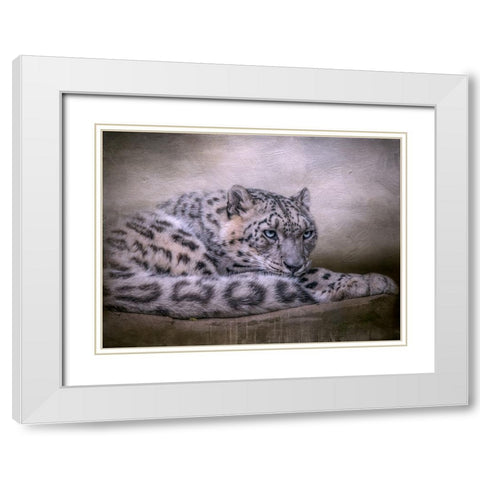 Behind Blue Eyes White Modern Wood Framed Art Print with Double Matting by Parker, Kelley