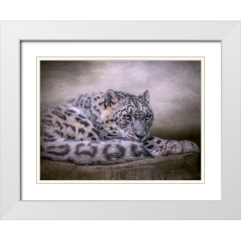 Behind Blue Eyes White Modern Wood Framed Art Print with Double Matting by Parker, Kelley