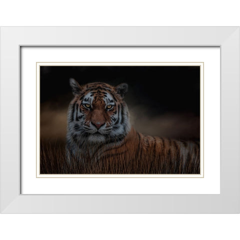 Alone in the Night White Modern Wood Framed Art Print with Double Matting by Parker, Kelley