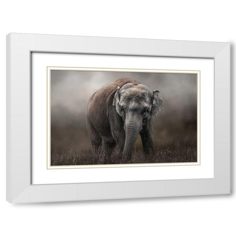 Power and Grace White Modern Wood Framed Art Print with Double Matting by Parker, Kelley