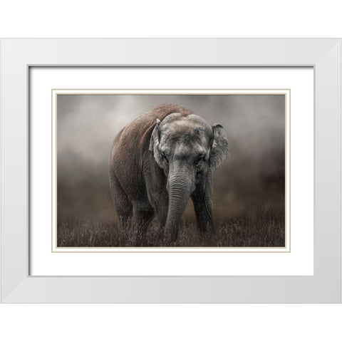 Power and Grace White Modern Wood Framed Art Print with Double Matting by Parker, Kelley