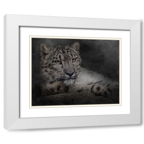 Lurking in the Shadows White Modern Wood Framed Art Print with Double Matting by Parker, Kelley