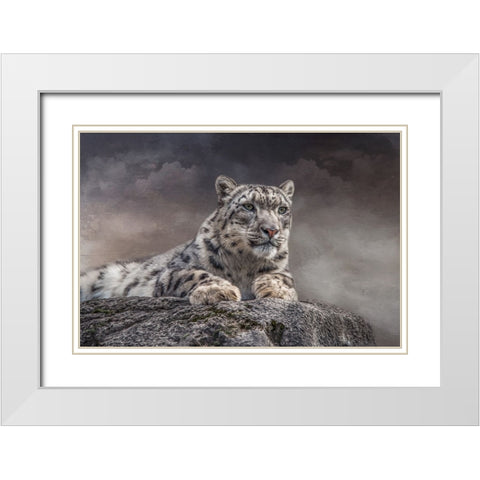 Spotted Beauty White Modern Wood Framed Art Print with Double Matting by Parker, Kelley