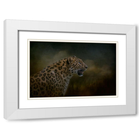 Watchful Waiting White Modern Wood Framed Art Print with Double Matting by Parker, Kelley