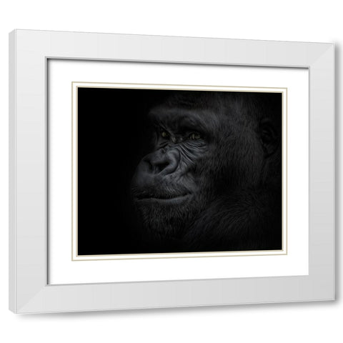 Great Ape White Modern Wood Framed Art Print with Double Matting by Parker, Kelley