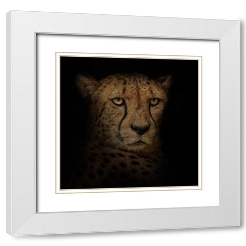 Out of the Shadows White Modern Wood Framed Art Print with Double Matting by Parker, Kelley