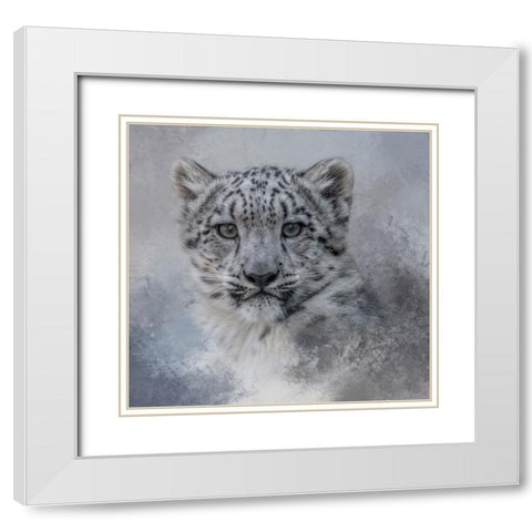 Snow Baby White Modern Wood Framed Art Print with Double Matting by Parker, Kelley