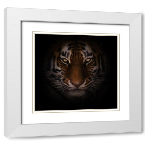 Eyes of Warning White Modern Wood Framed Art Print with Double Matting by Parker, Kelley