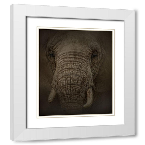 Elephant Dreams White Modern Wood Framed Art Print with Double Matting by Parker, Kelley