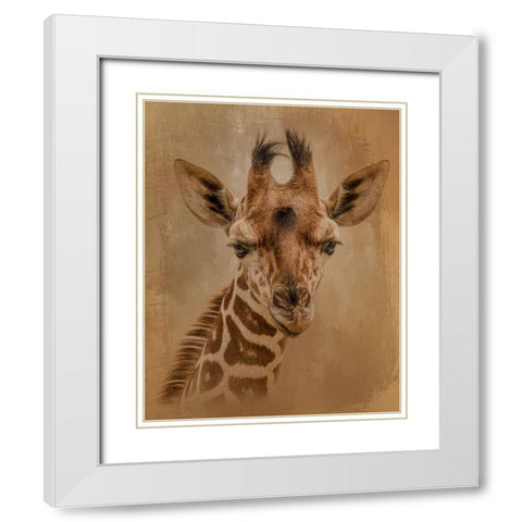 Gentle Giant White Modern Wood Framed Art Print with Double Matting by Parker, Kelley