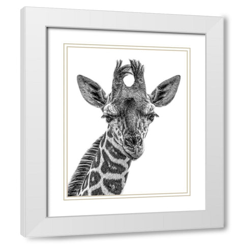 Young One White Modern Wood Framed Art Print with Double Matting by Parker, Kelley