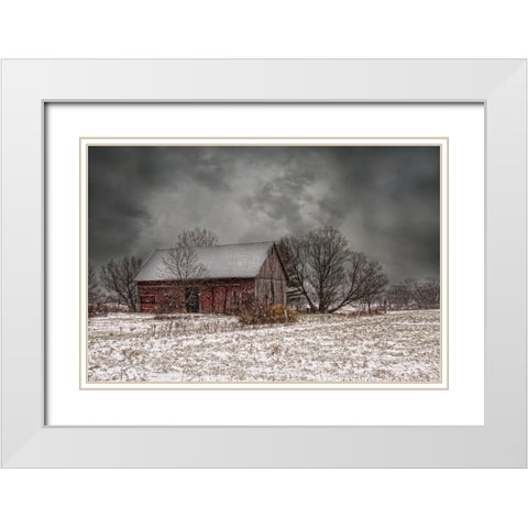 Weathering Winter White Modern Wood Framed Art Print with Double Matting by Parker, Kelley