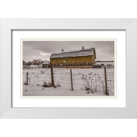 Old Yeller White Modern Wood Framed Art Print with Double Matting by Parker, Kelley