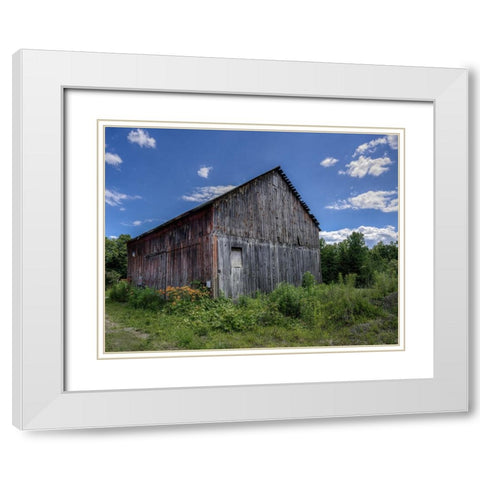 Country Lilies White Modern Wood Framed Art Print with Double Matting by Parker, Kelley