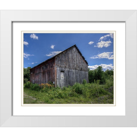 Country Lilies White Modern Wood Framed Art Print with Double Matting by Parker, Kelley
