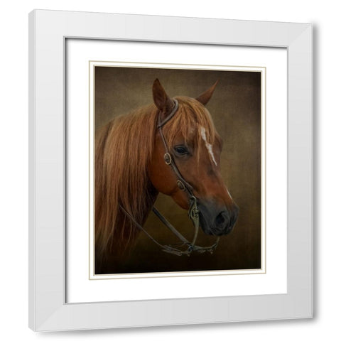 Ready to Compete White Modern Wood Framed Art Print with Double Matting by Parker, Kelley