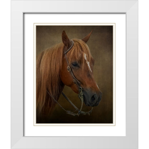 Ready to Compete White Modern Wood Framed Art Print with Double Matting by Parker, Kelley