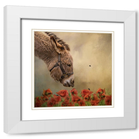 Stop and Smell the Flowers White Modern Wood Framed Art Print with Double Matting by Parker, Kelley
