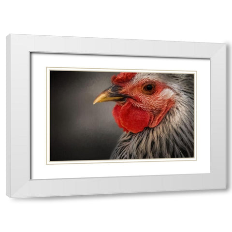 Early Riser White Modern Wood Framed Art Print with Double Matting by Parker, Kelley