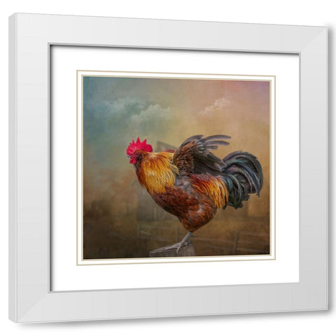 Barny and Boss White Modern Wood Framed Art Print with Double Matting by Parker, Kelley