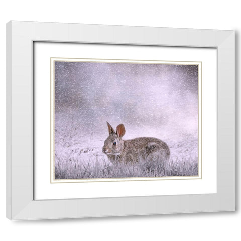 Snow Hopper White Modern Wood Framed Art Print with Double Matting by Parker, Kelley