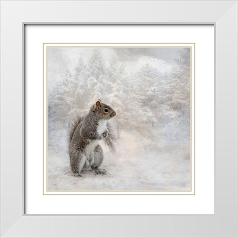 Braving the Cold White Modern Wood Framed Art Print with Double Matting by Parker, Kelley