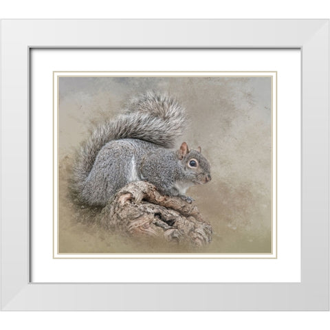 The Collector White Modern Wood Framed Art Print with Double Matting by Parker, Kelley