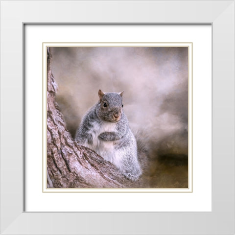 Looking Innocent White Modern Wood Framed Art Print with Double Matting by Parker, Kelley