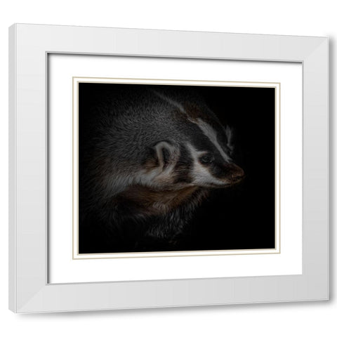 Sir Badger White Modern Wood Framed Art Print with Double Matting by Parker, Kelley